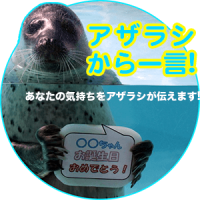 アザラシから一言 あなたの気持ちをアザラシが伝えます 下田海中水族館