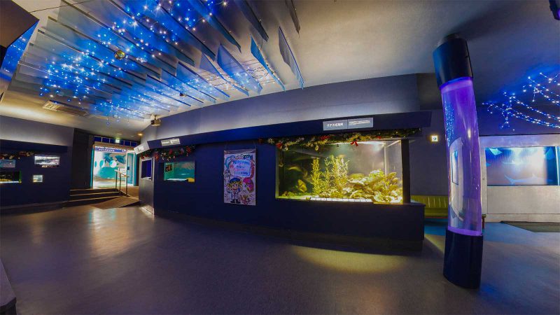 a1 下田海中水族館 海の生物館シーパレス