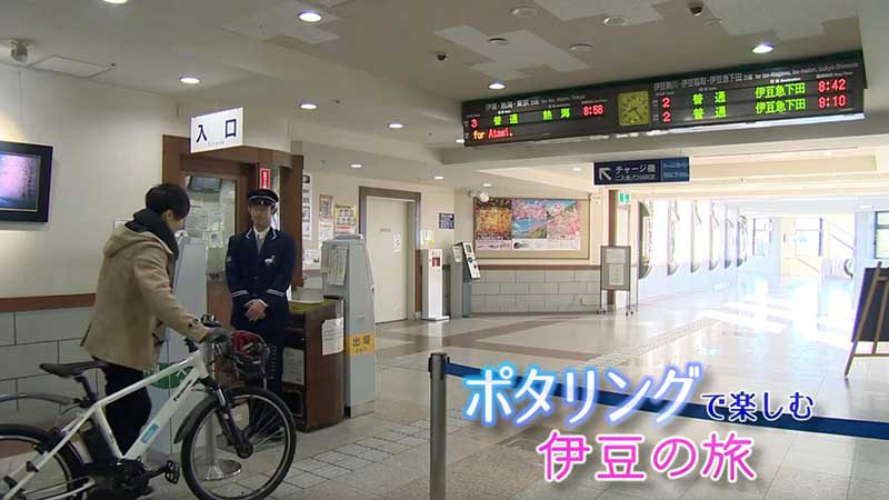 いい伊豆見つけた