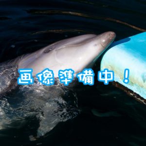 0000