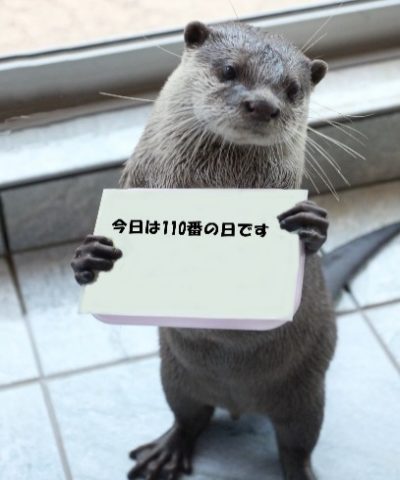 image007