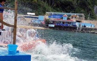 テールバースト