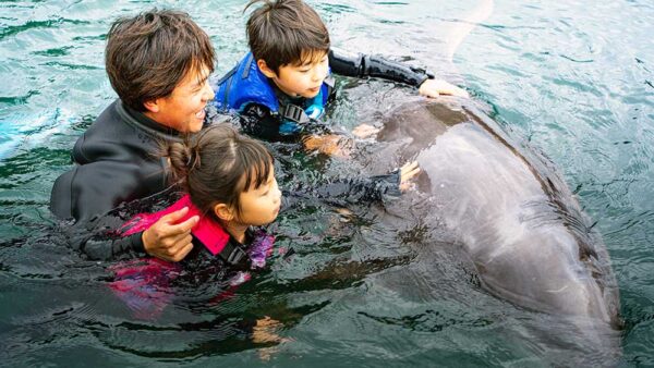 イルカと遊ぼう！うきうきドルフィン | 下田海中水族館