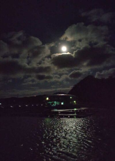 先取り！海の満月ナイト | 下田海中水族館