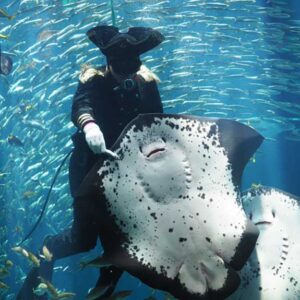 ペリー提督現る-2 ペリーさんの魚の餌付けショー