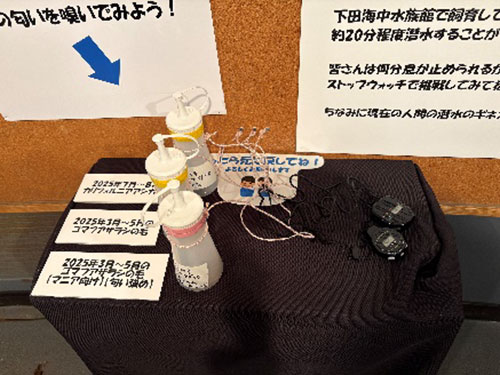 ヒレアシ展開始