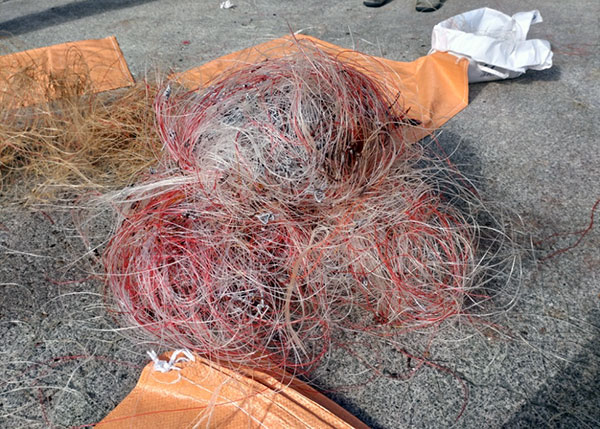 処理する前のテグス