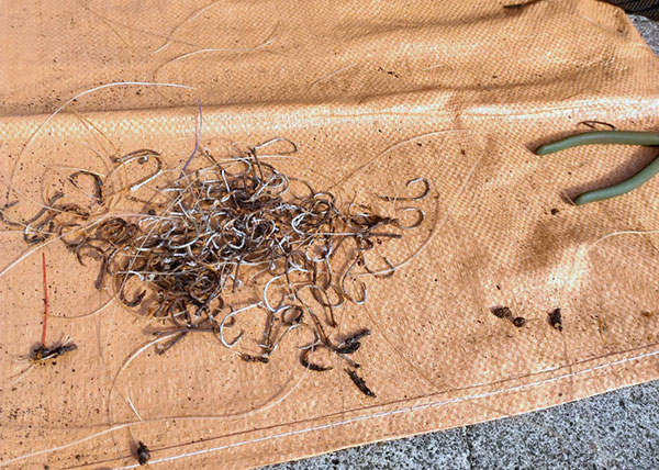 外した釣り針やサルカンなどの金属