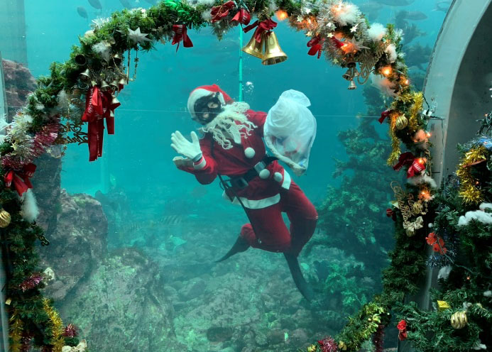 サンタダイバー-3 サンタダイバー登場