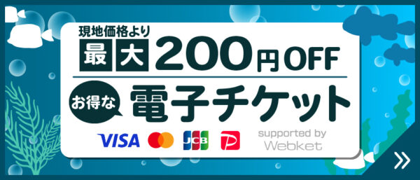 お得な事前購入チケット！ | 下田海中水族館