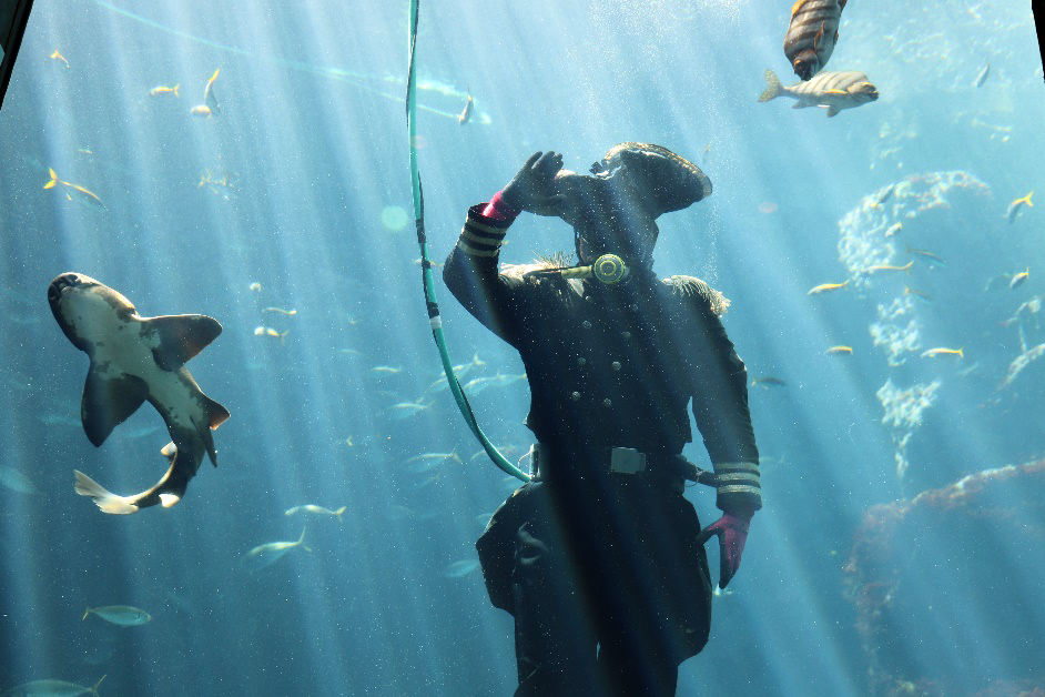 ペリー提督による魚の餌付けショー