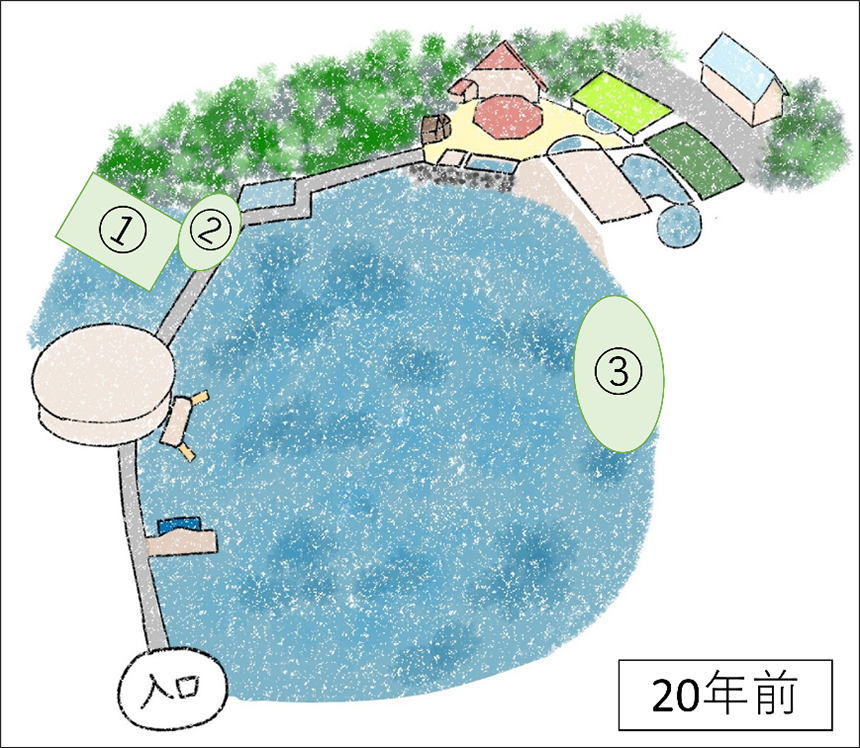 20年で変化した藻場