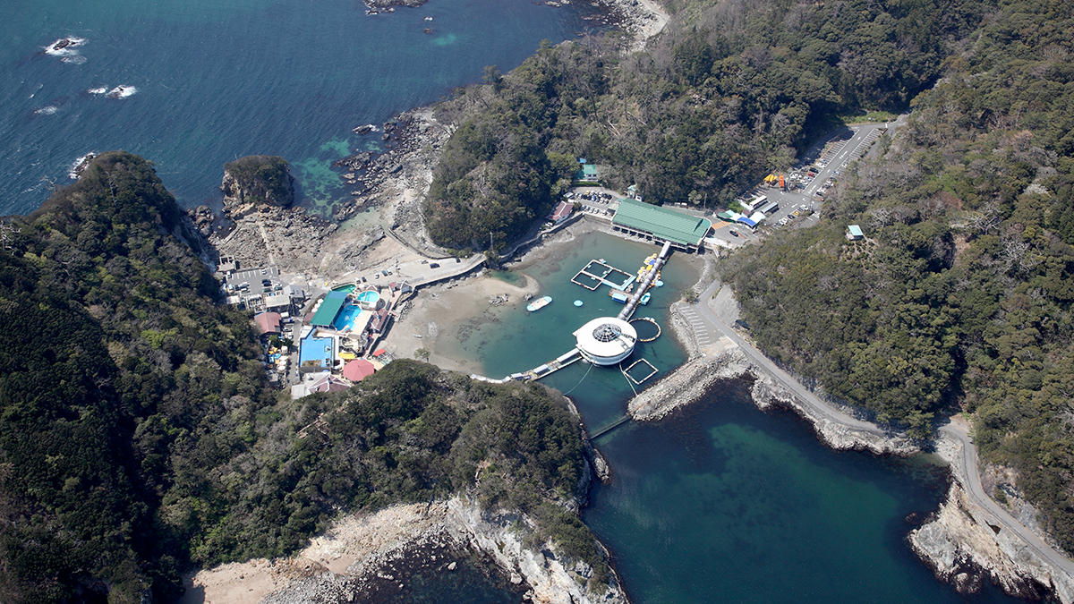 下田海中水族館全景