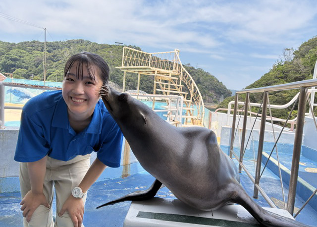 カリフォルニアアシカからの熱いキス